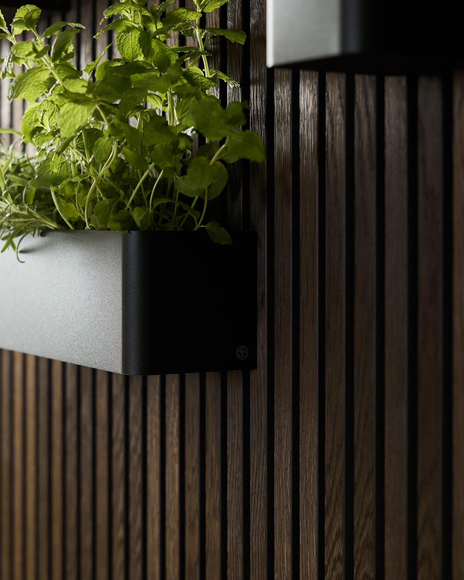 Black WoodUpp Norr Plant Box (47.9 cm) made of stainless steel, designed for green walls mounted on dark acoustic wood slat panels.
