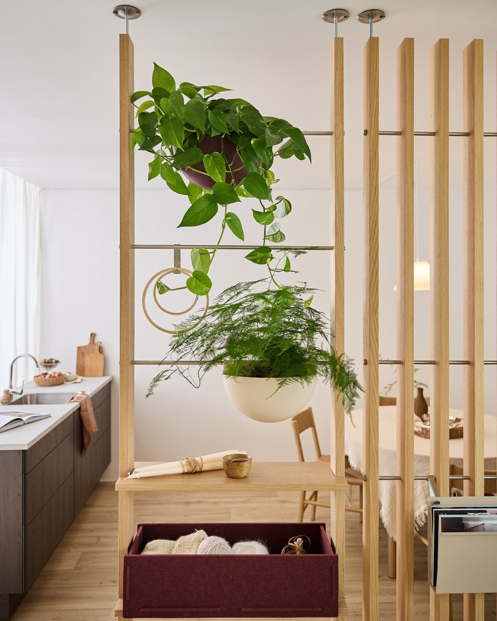 WoodUpp Gro Soft Pocket room divider with BM2 Ox Red box and two hanging plants separates the kitchen and dining areas in a bright, modern apartment.